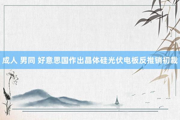成人 男同 好意思国作出晶体硅光伏电板反推销初裁