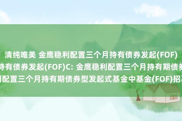 清纯唯美 金鹰稳利配置三个月持有债券发起(FOF)A，金鹰稳利配置三个月持有债券发起(FOF)C: 金鹰稳利配置三个月持有期债券型发起式基金中基金(FOF)招募说明书