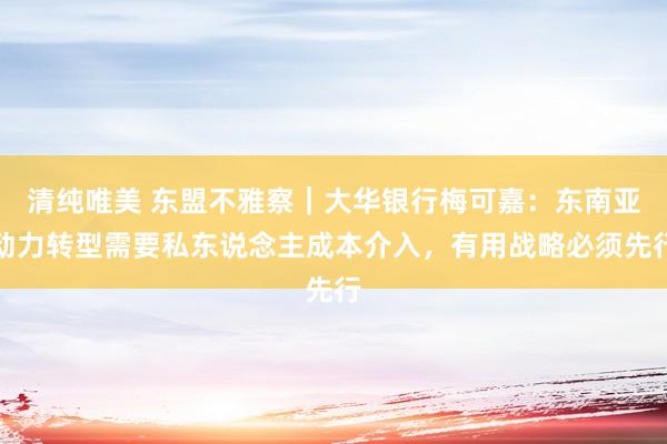 清纯唯美 东盟不雅察｜大华银行梅可嘉：东南亚动力转型需要私东说念主成本介入，有用战略必须先行