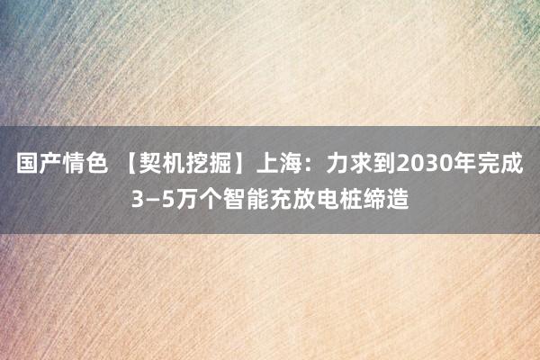 国产情色 【契机挖掘】上海：力求到2030年完成3—5万个智能充放电桩缔造