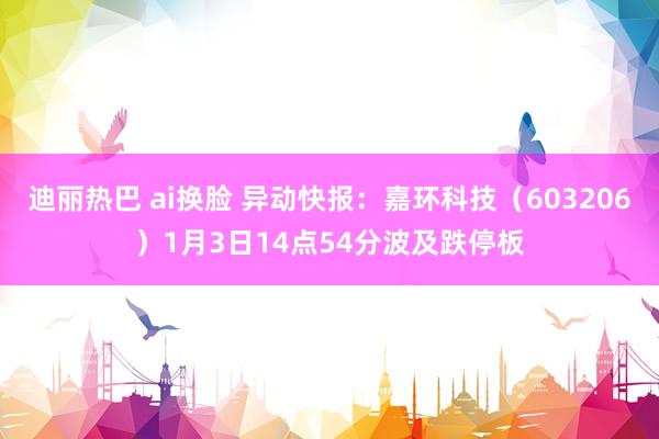 迪丽热巴 ai换脸 异动快报：嘉环科技（603206）1月3日14点54分波及跌停板