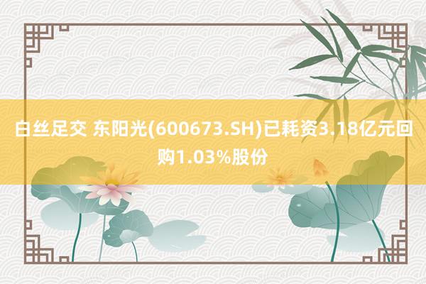 白丝足交 东阳光(600673.SH)已耗资3.18亿元回购1.03%股份