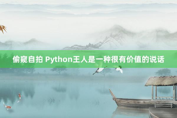 偷窥自拍 Python王人是一种很有价值的说话