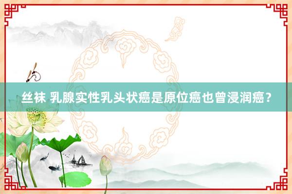 丝袜 乳腺实性乳头状癌是原位癌也曾浸润癌？