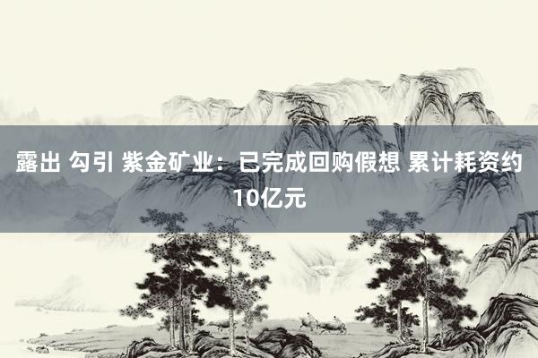 露出 勾引 紫金矿业：已完成回购假想 累计耗资约10亿元
